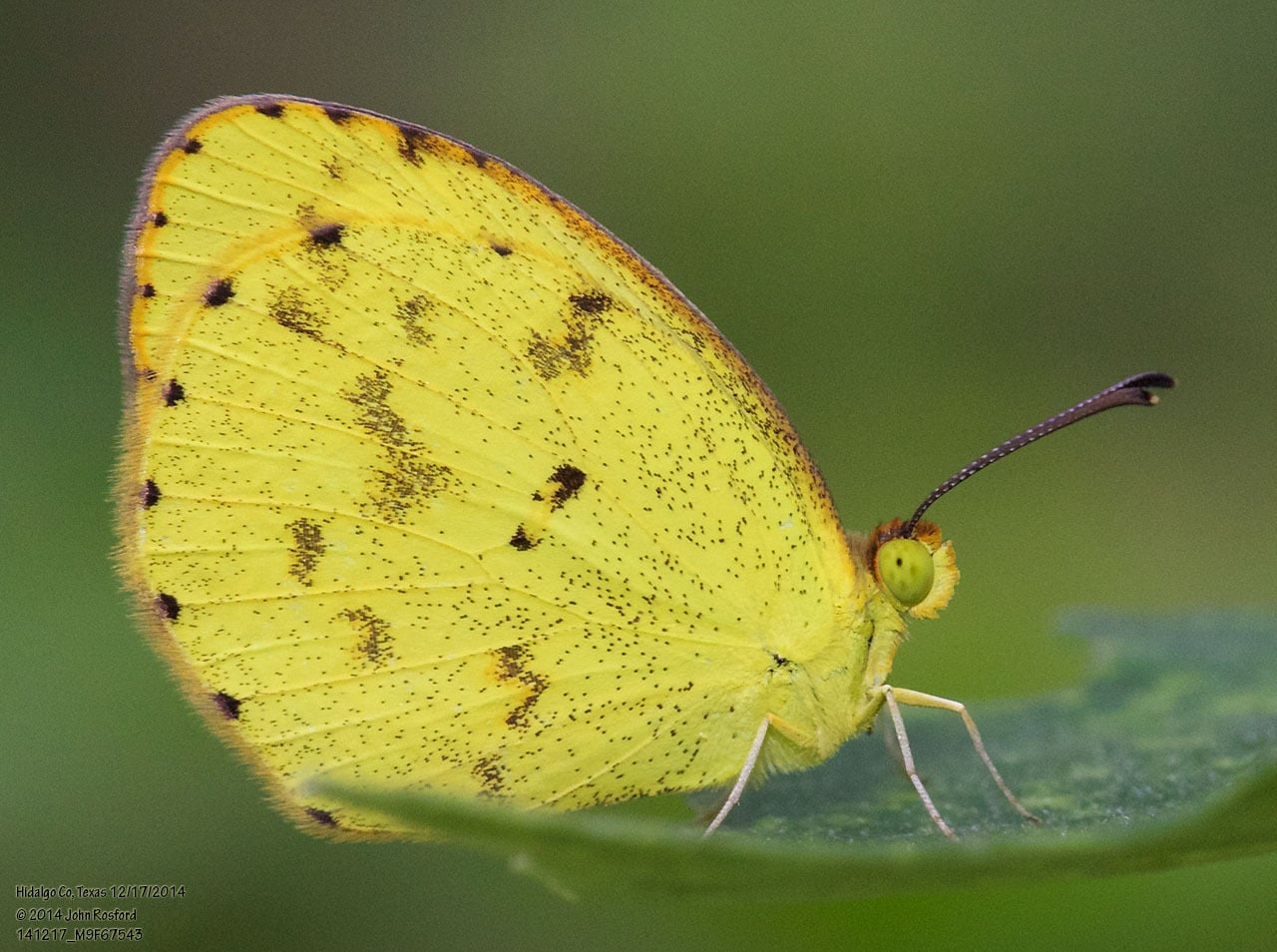 K’an péepen, ku ye’esik uts yanik kuxtal tu’ux ku yantal
